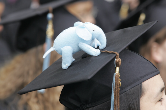 Tufts graduation cap with elephant